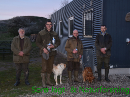 Hundetræning forår 2016